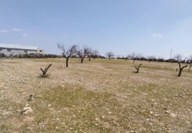 A VENDRE TERRAIN INDUSTR 2998 M2 SFAX