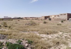 A VENDRE TERRAIN INDUSTR 8540 M2 SFAX