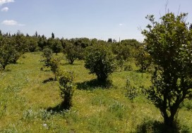 AV UNITE CONDIT AGRO ALIM 1770/4H NABEUL