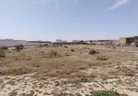 A VENDRE TERRAIN INDUSTR 8540 M2 SFAX