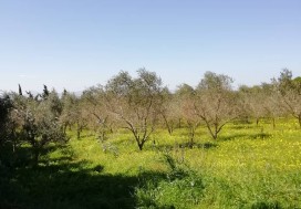 AV UNITE CONDIT AGRO ALIM 1770/4H NABEUL