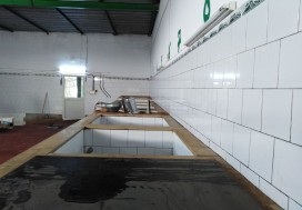 A VENDRE HUILERIE 626/8660 M2 SFAX