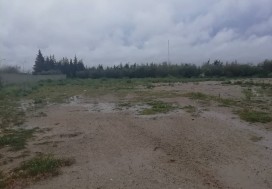 A L LOCAL CONTSR METAL 2550/1 HA T OUEST