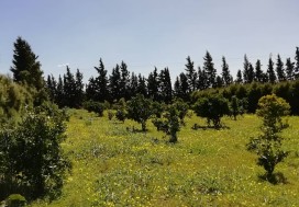 AV UNITE CONDIT AGRO ALIM 1770/4H NABEUL