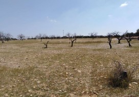 A VENDRE TERRAIN INDUSTR 2998 M2 SFAX