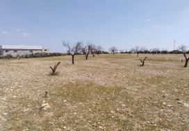 A VENDRE TERRAIN INDUSTR 2998 M2 SFAX