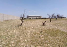 A VENDRE TERRAIN INDUSTR 2998 M2 SFAX