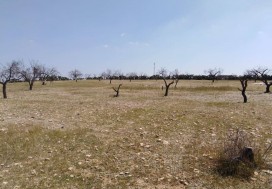 A VENDRE TERRAIN INDUSTR 2998 M2 SFAX