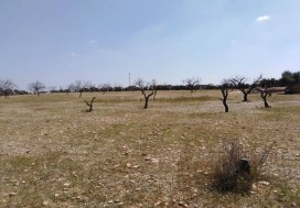 A VENDRE TERRAIN INDUSTR 2998 M2 SFAX