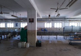 A L USINE CHAUSSURES 3896/2280 M2 SFAX