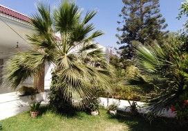 A VENDRE VILLA 370/950 M2 SFAX