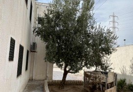 A VENDRE LOCAL 1231/1600 M2 RADES