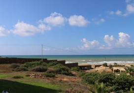 AV TERRAIN TOURIST 33000 M2 NORD TUNISIE