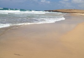 AV TERRAIN TOURIST 33000 M2 NORD TUNISIE