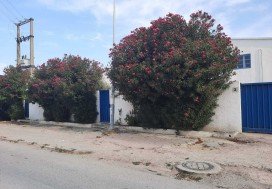 A VEDRE LOCAL 965/3021 M2 TUN SUD