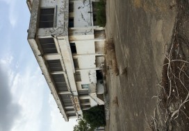 A V LOCAL AREPARER 4995/7500 M2 BIZERTE
