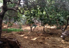 A VENDRE TERRAIN A MNIHLA  1000 M2