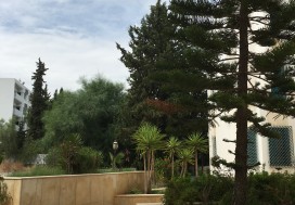 A LOUER DUPLEX LUXE 250 M2 S5 MANAR