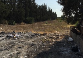 A LOUER TER PARC TUNIS SUD 1.5 HA