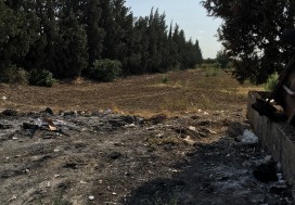 A LOUER TER PARC TUNIS SUD 1.5 HA