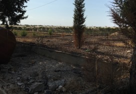 A LOUER TER PARC TUNIS SUD 1.5 HA
