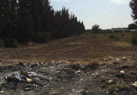 A LOUER TER PARC TUNIS SUD 1.5 HA