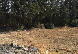 A LOUER TER PARC TUNIS SUD 1.5 HA