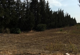 A LOUER TER PARC TUNIS SUD 1.5 HA