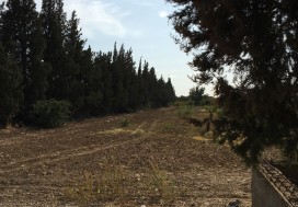 A LOUER TER PARC TUNIS SUD 1.5 HA