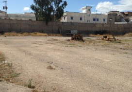 A L TERRAIN PARC 15440 M2 MEGRINE