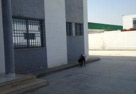A LOUER LOCAL INDUSTR 2400 M2 MGHIRA