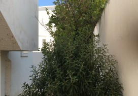 A LOUER RDC DE VILLA S3 200 M2 ENNASR