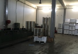 A VENDRE LOCAL INDUSTR 1000/6711 M2 UTIQ