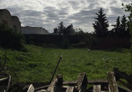 A VENDRE LOCAL 5000 M2/1 HA SLIMEN
