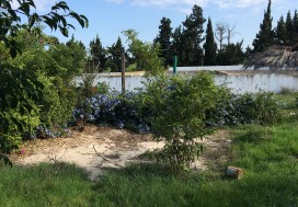 A VENDRE LOCAL 5000 M2/1 HA SLIMEN