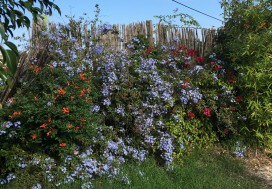 A VENDRE LOCAL 5000 M2/1 HA SLIMEN