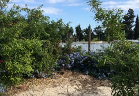 A VENDRE LOCAL 5000 M2/1 HA SLIMEN