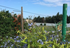 A VENDRE LOCAL 5000 M2/1 HA SLIMEN