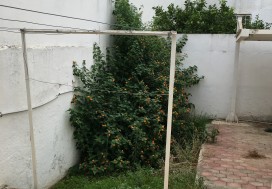 A LOUER VILLA S4 250 M2 EL MENZAH