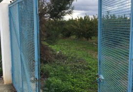 A VENDRE TER AGRI 2 HA ARBORE TUN OUEST