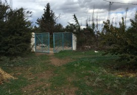 A VENDRE TER AGRI 2 HA ARBORE TUN OUEST