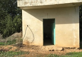 A VENDRE TER AGRI 2 HA ARBORE TUN OUEST
