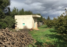 A VENDRE TER AGRI 2 HA ARBORE TUN OUEST