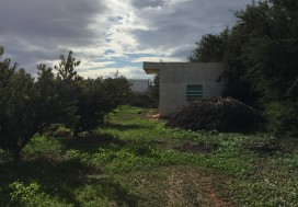 A VENDRE TER AGRI 2 HA ARBORE TUN OUEST
