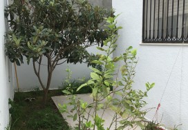 A VENDRE VILLA S4 135/269 M2 ARIANA