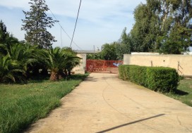A LOUER USINE 6000 M2 TUNIS OUEST