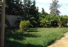 A LOUER USINE 6000 M2 TUNIS OUEST