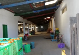 AV UNITE CALIBRAGE FRUITS 3422 M2 NABEUL