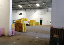 AV UNITE CALIBRAGE FRUITS 3422 M2 NABEUL