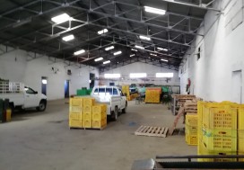 AV UNITE CALIBRAGE FRUITS 3422 M2 NABEUL
